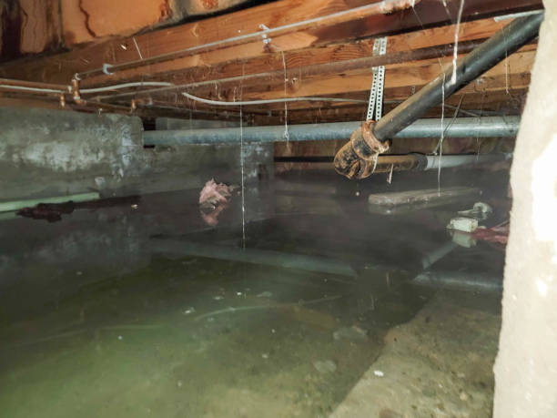 Best Commercial water damage restoration  in Green Knoll, NJ