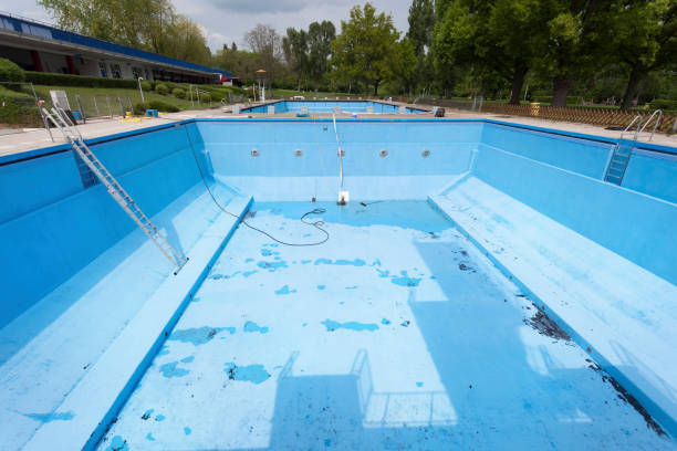 Best Professional water damage repair  in Green Knoll, NJ