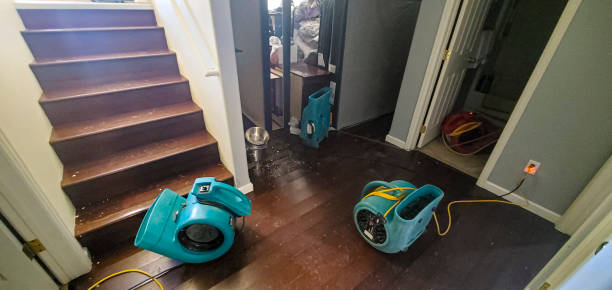 Sewage cleanup and water damage restoration in Green Knoll, NJ