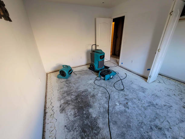 Best 24-hour water damage restoration  in Green Knoll, NJ