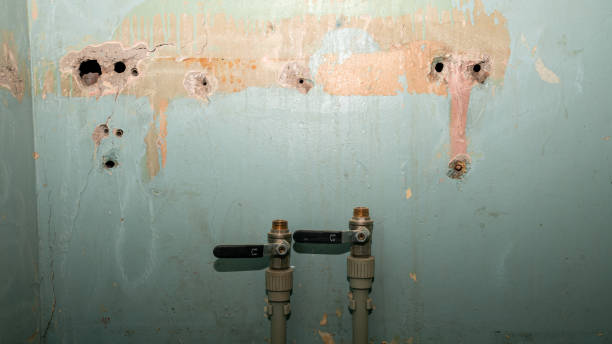  Green Knoll, NJ Water damage restoration Pros