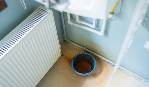 Best Mold removal after water damage  in Green Knoll, NJ