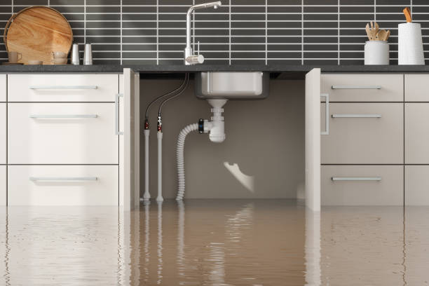 Green Knoll, NJ Water damage restoration Company