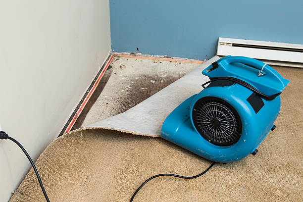 Best Flood damage cleanup  in Green Knoll, NJ